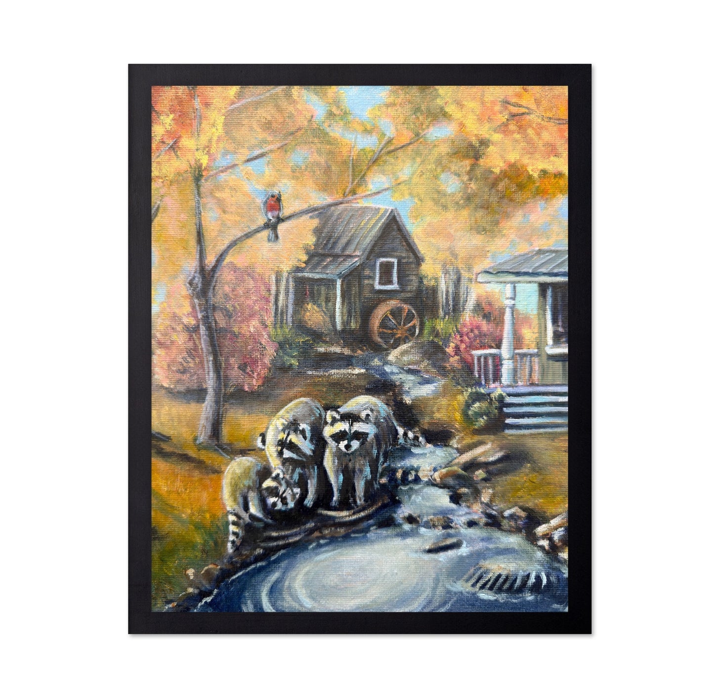 Raccoons By Autumn Creek