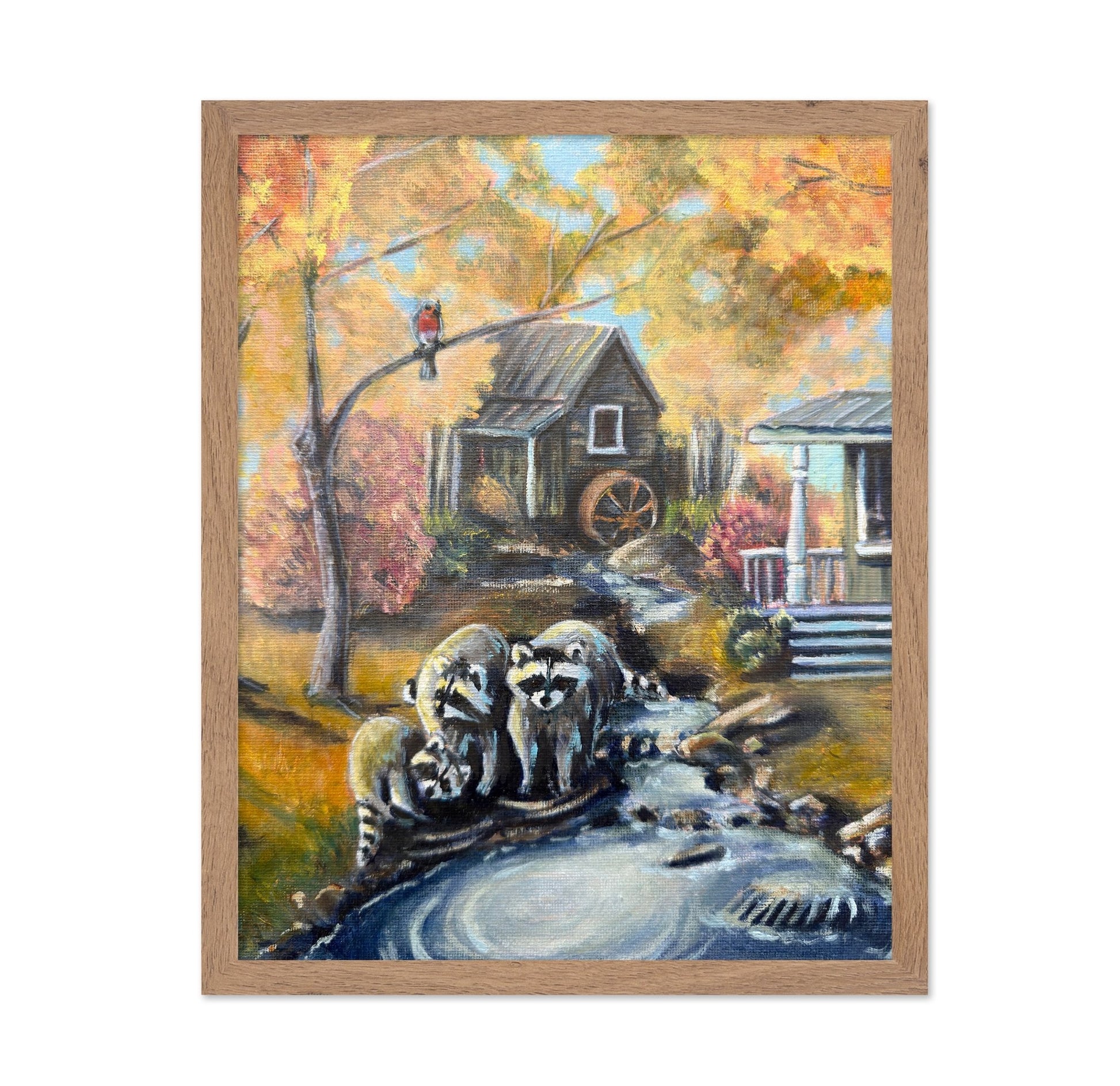 Raccoons By Autumn Creek