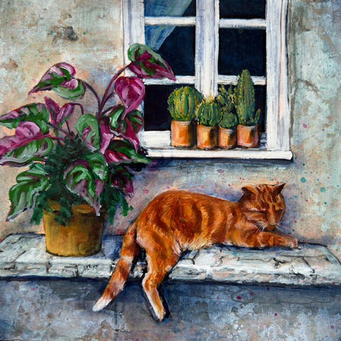Lazy Window Cat