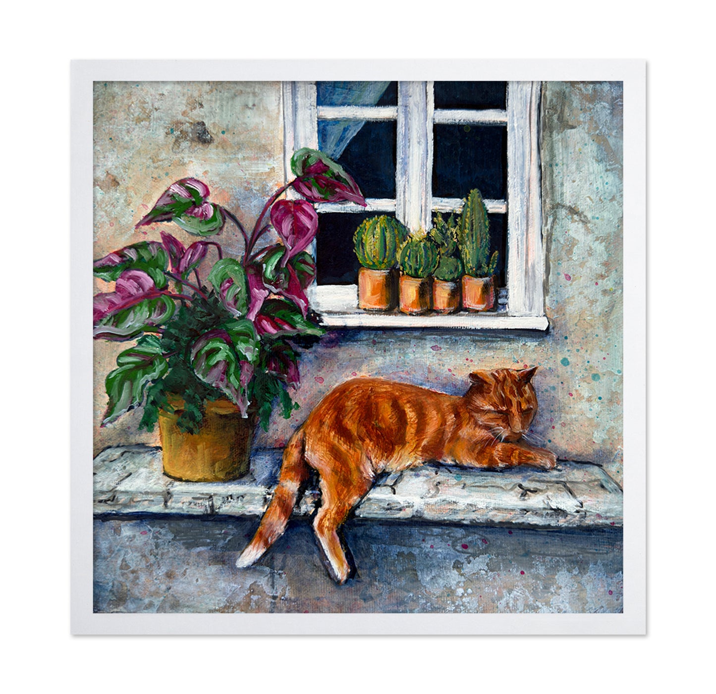 Lazy Window Cat