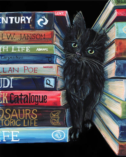 Black Cat Books