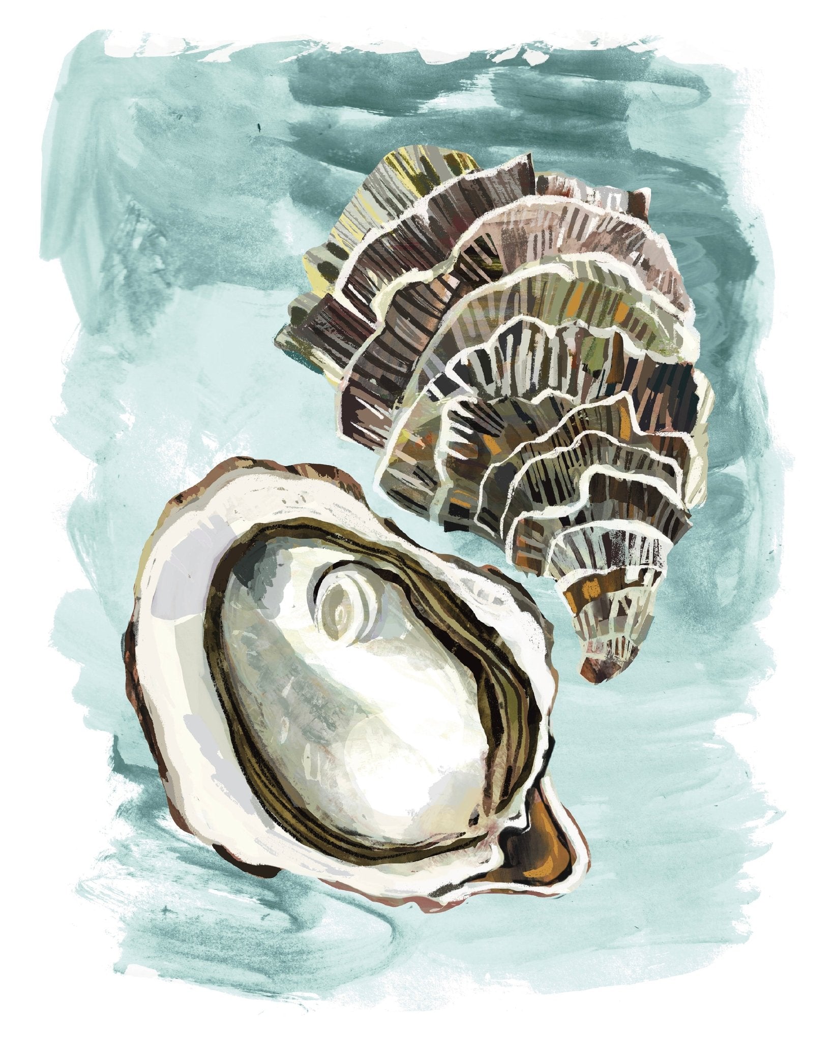 Seashell Study
