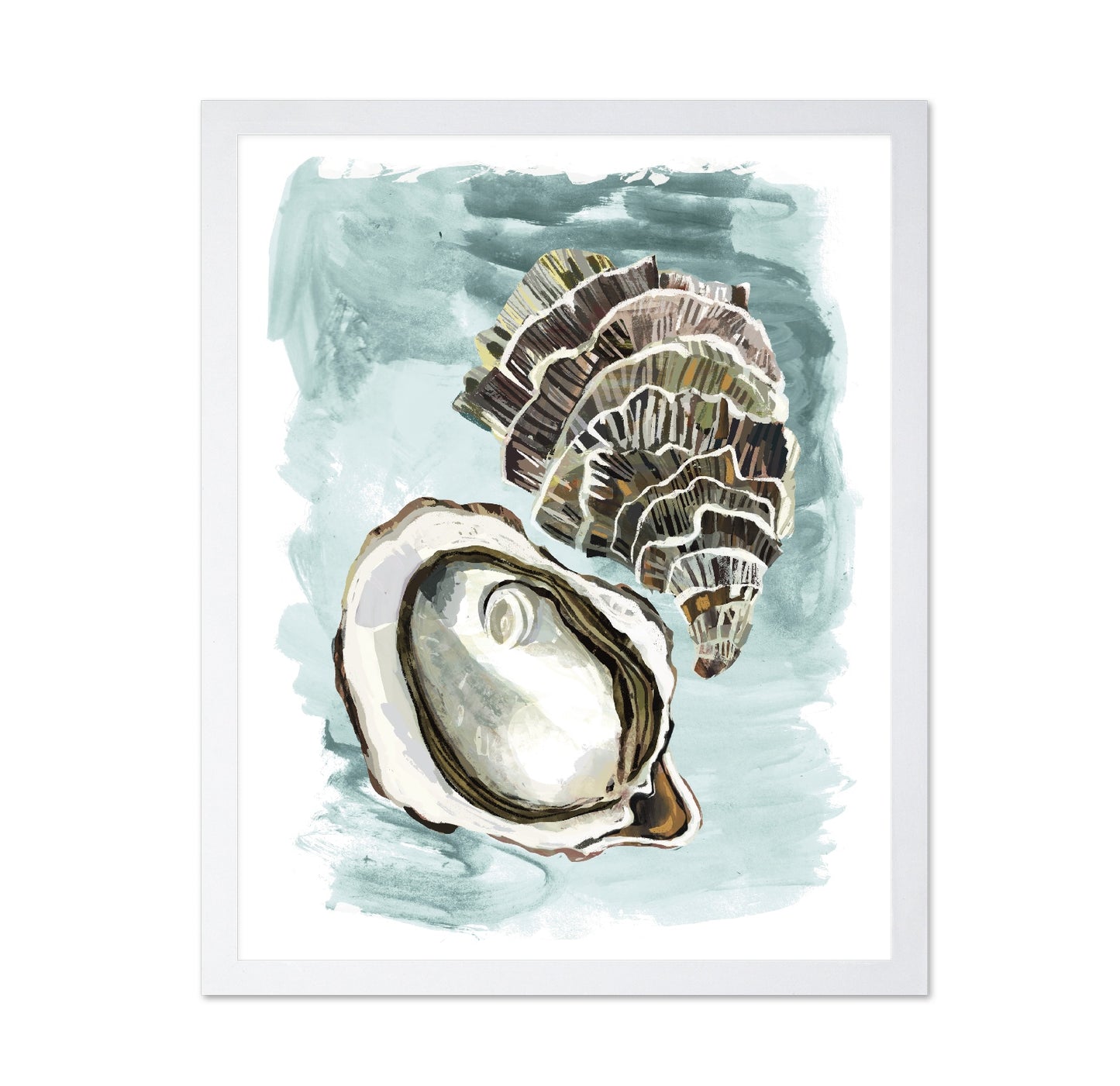Seashell Study