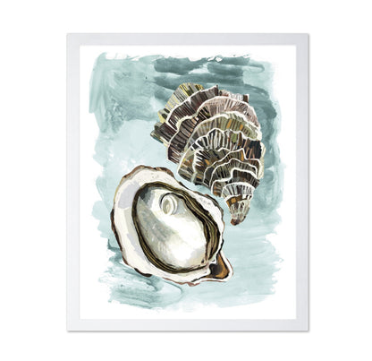 Seashell Study