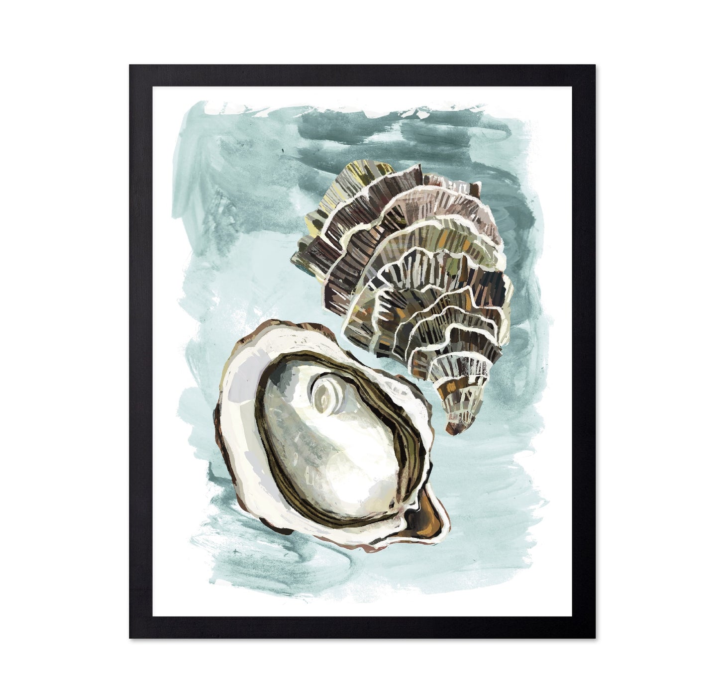 Seashell Study