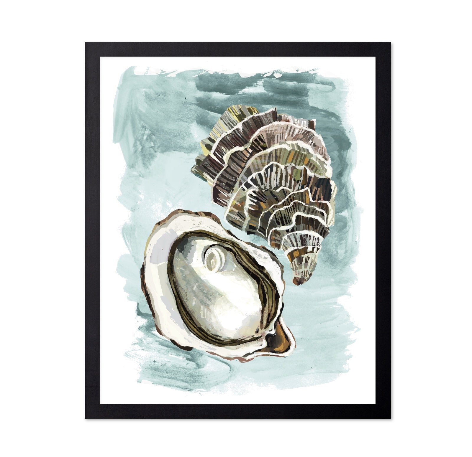 Seashell Study
