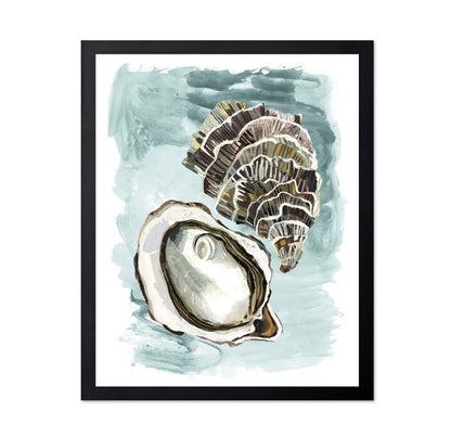 Seashell Study