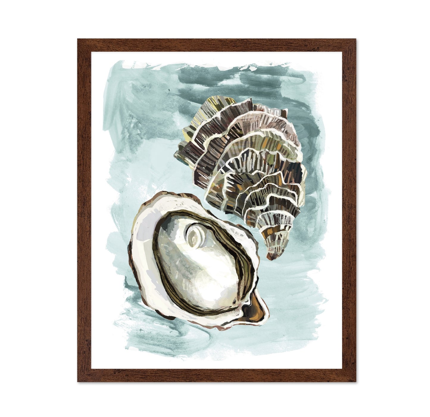Seashell Study