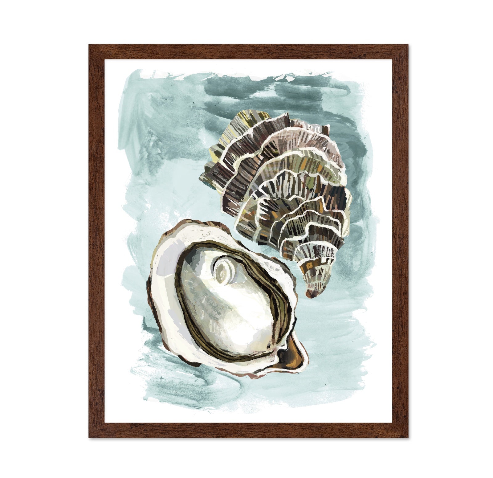 Seashell Study