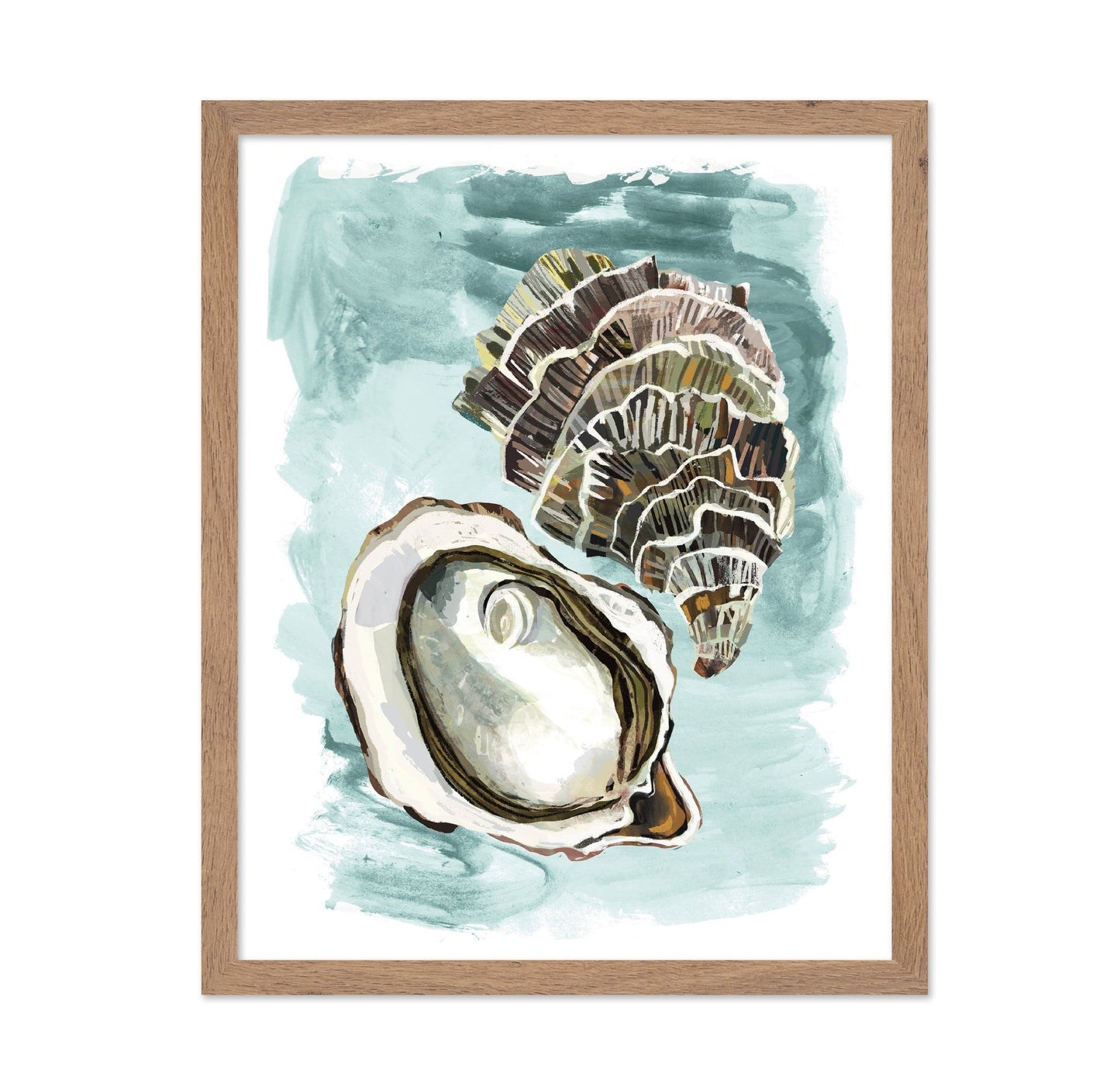 Seashell Study