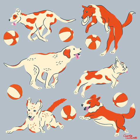 Playful Dogs