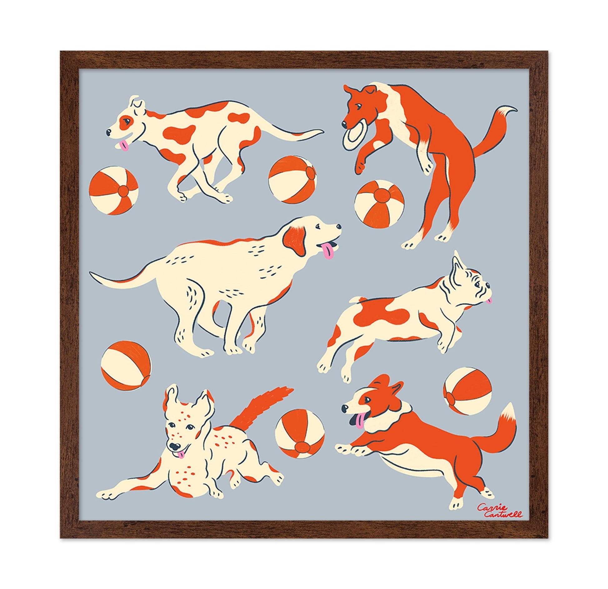 Playful Dogs