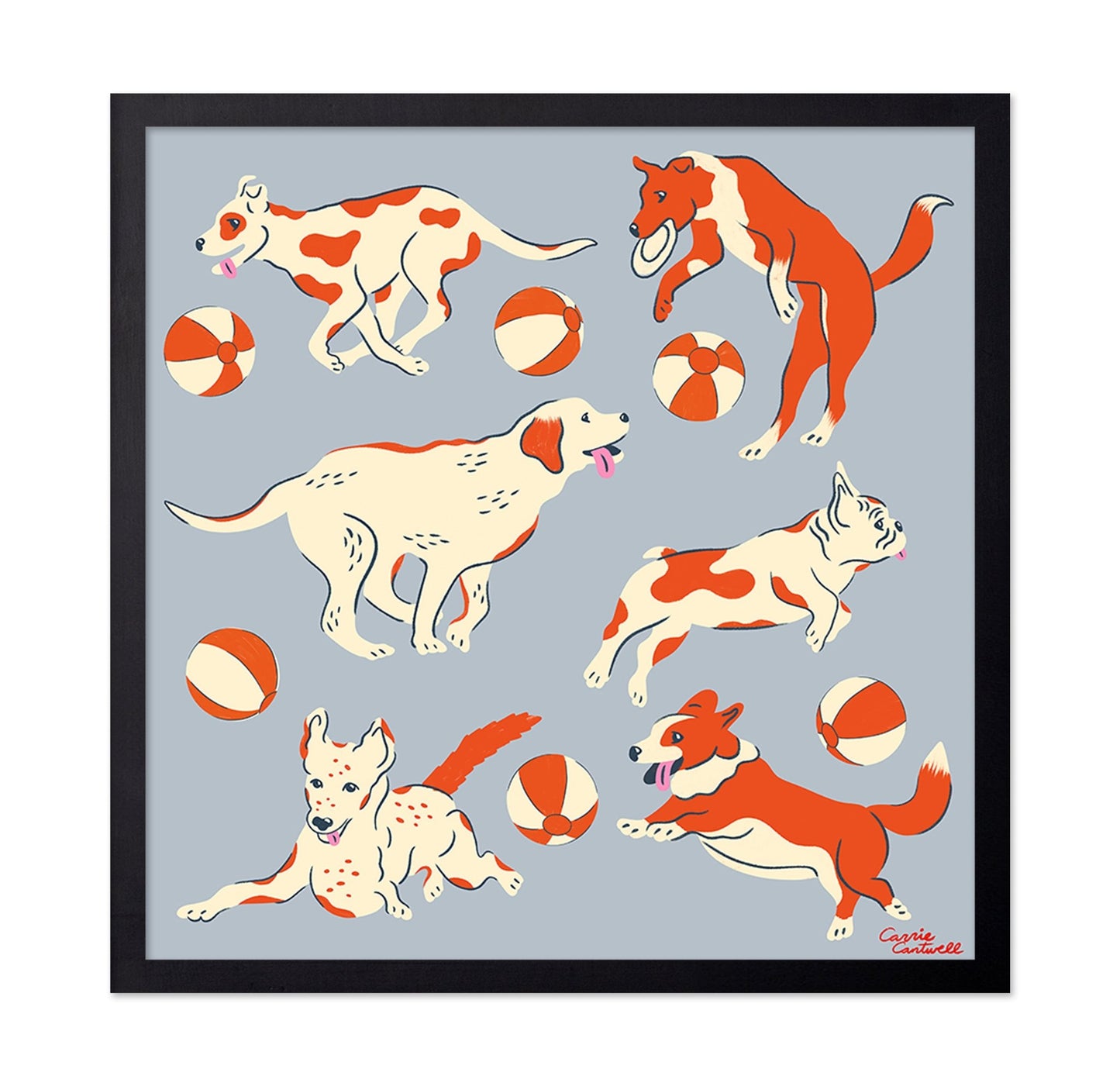 Playful Dogs