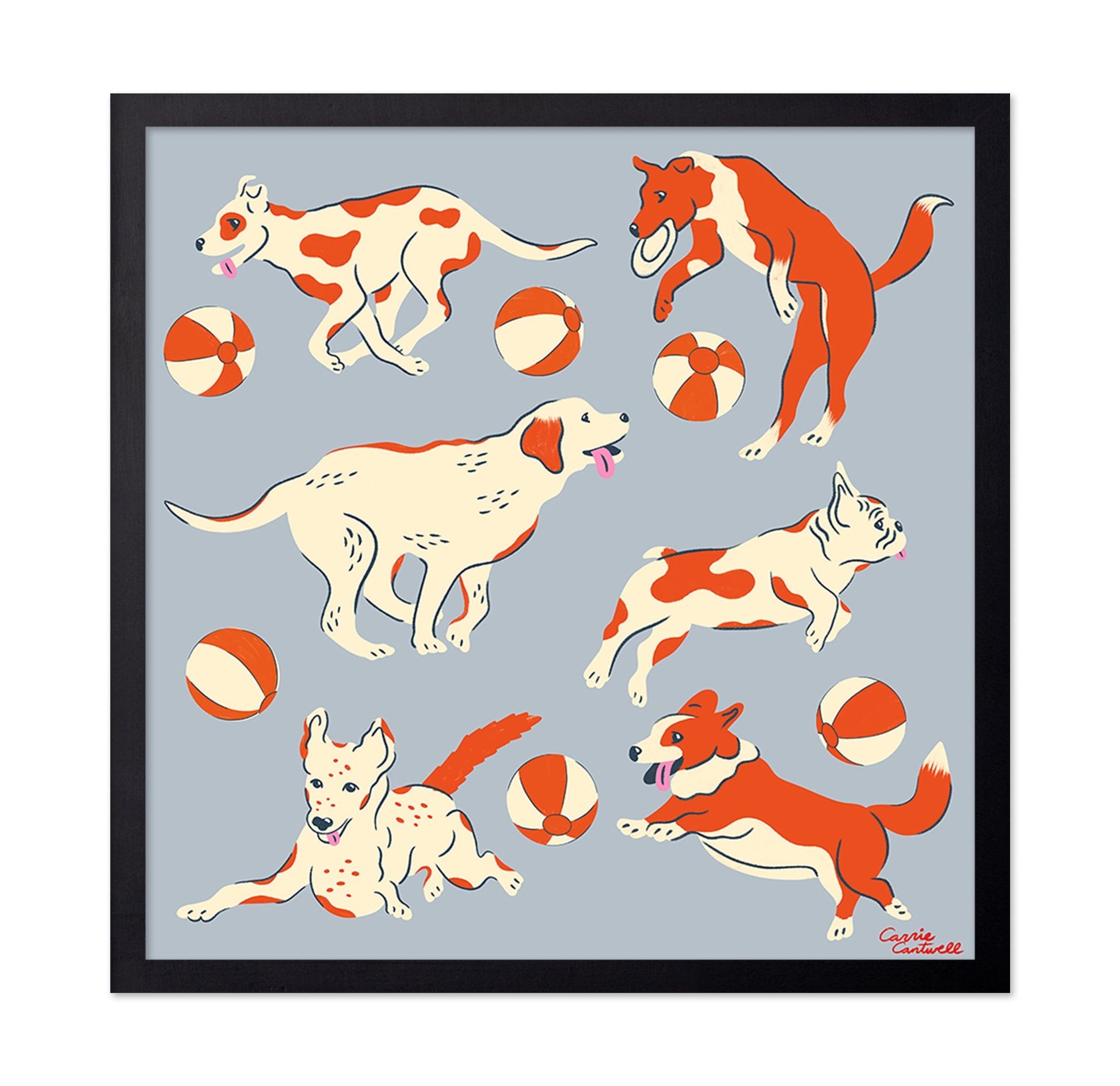 Playful Dogs