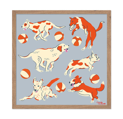 Playful Dogs