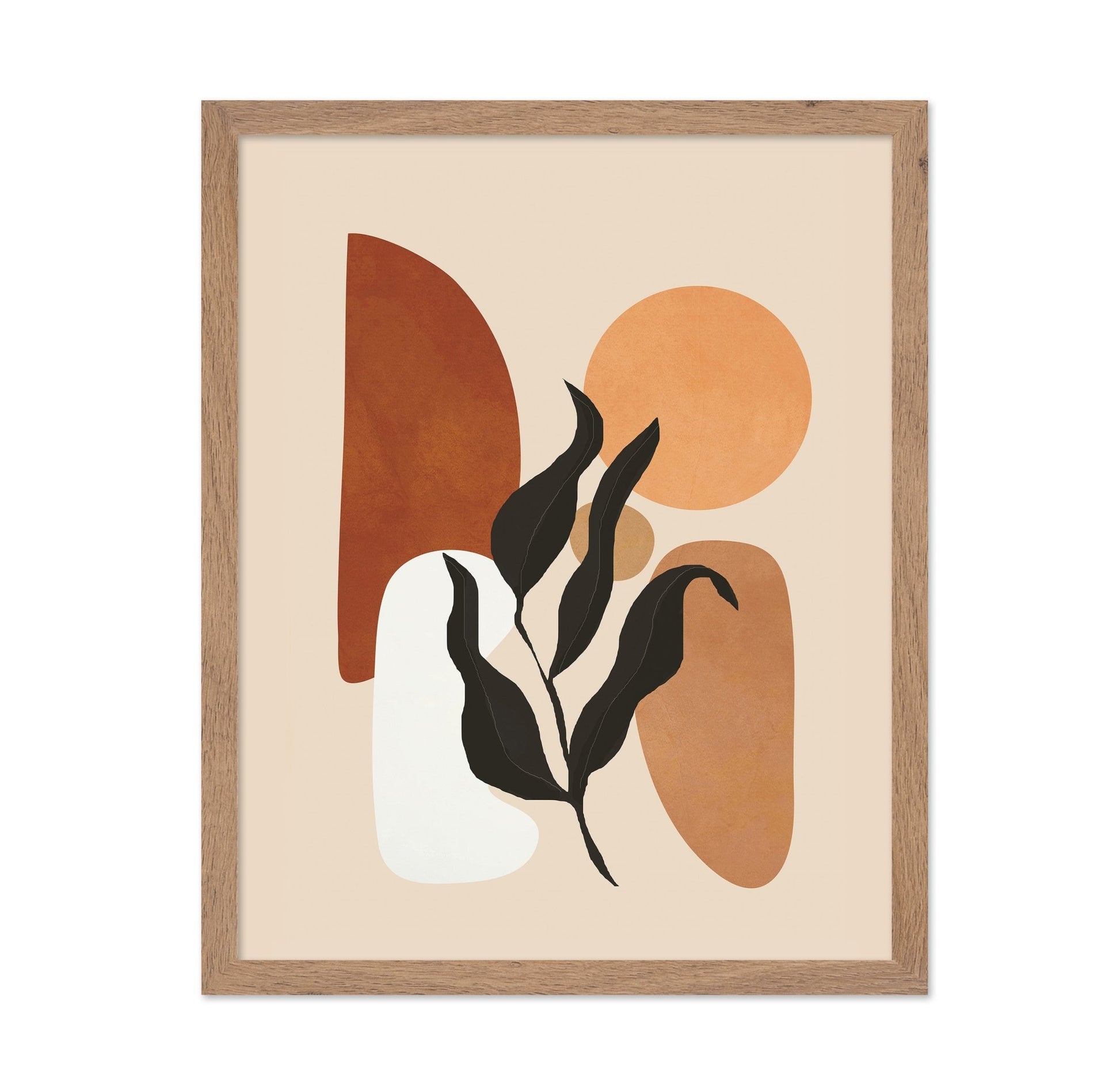 Earthy Botanical Shapes