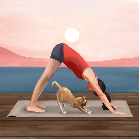 Yoga With Cat