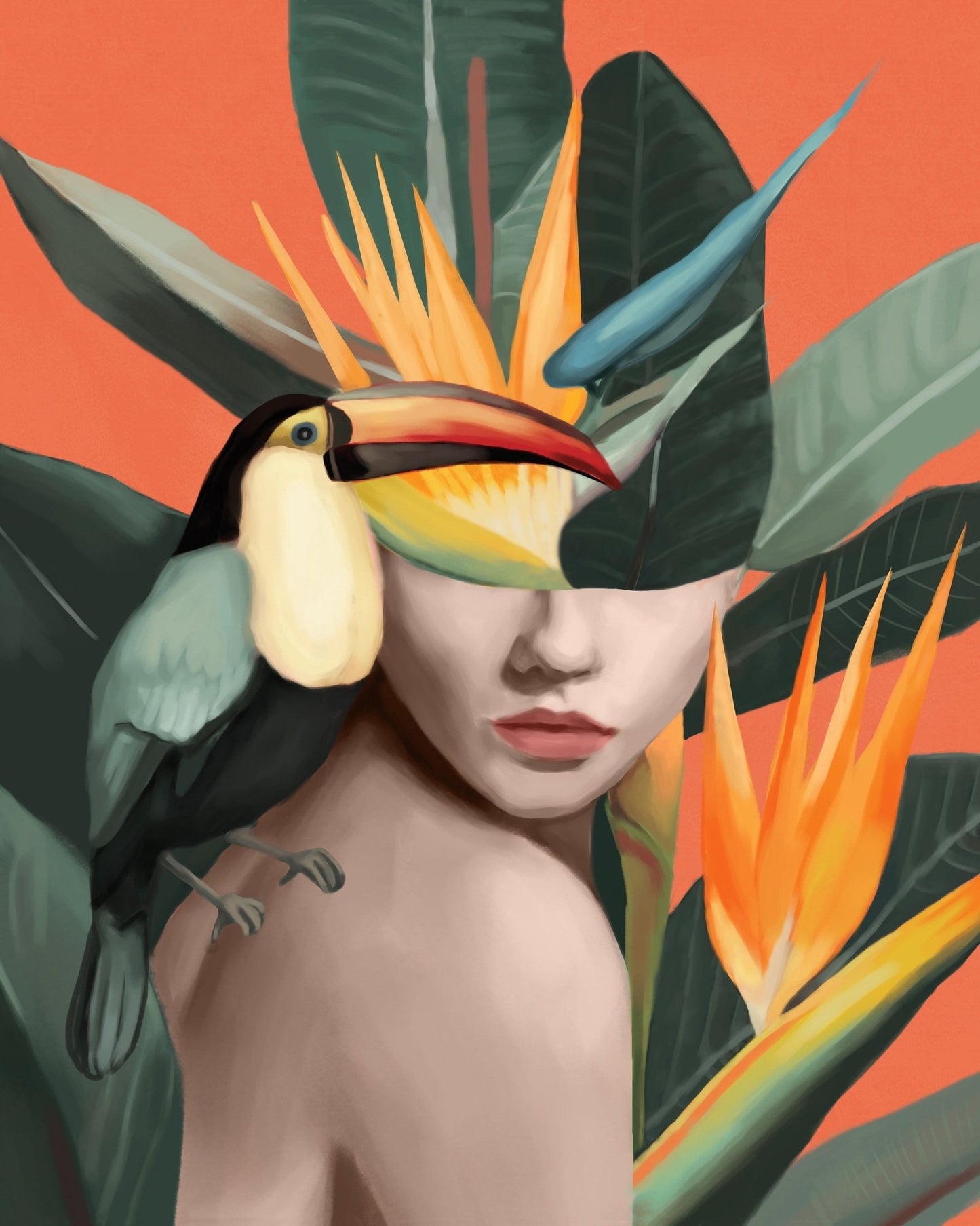 Tropical Toucan Muse