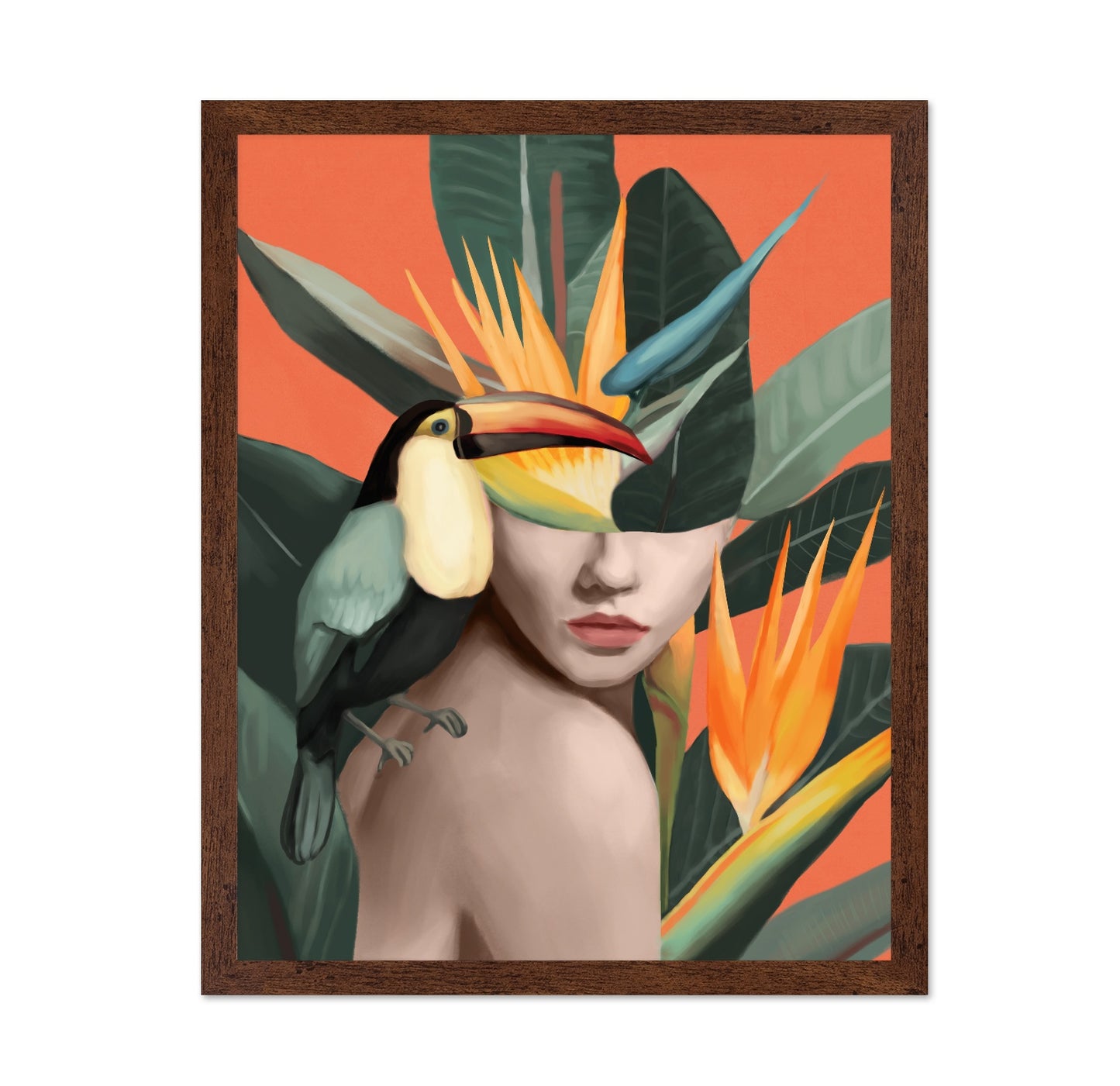 Tropical Toucan Muse