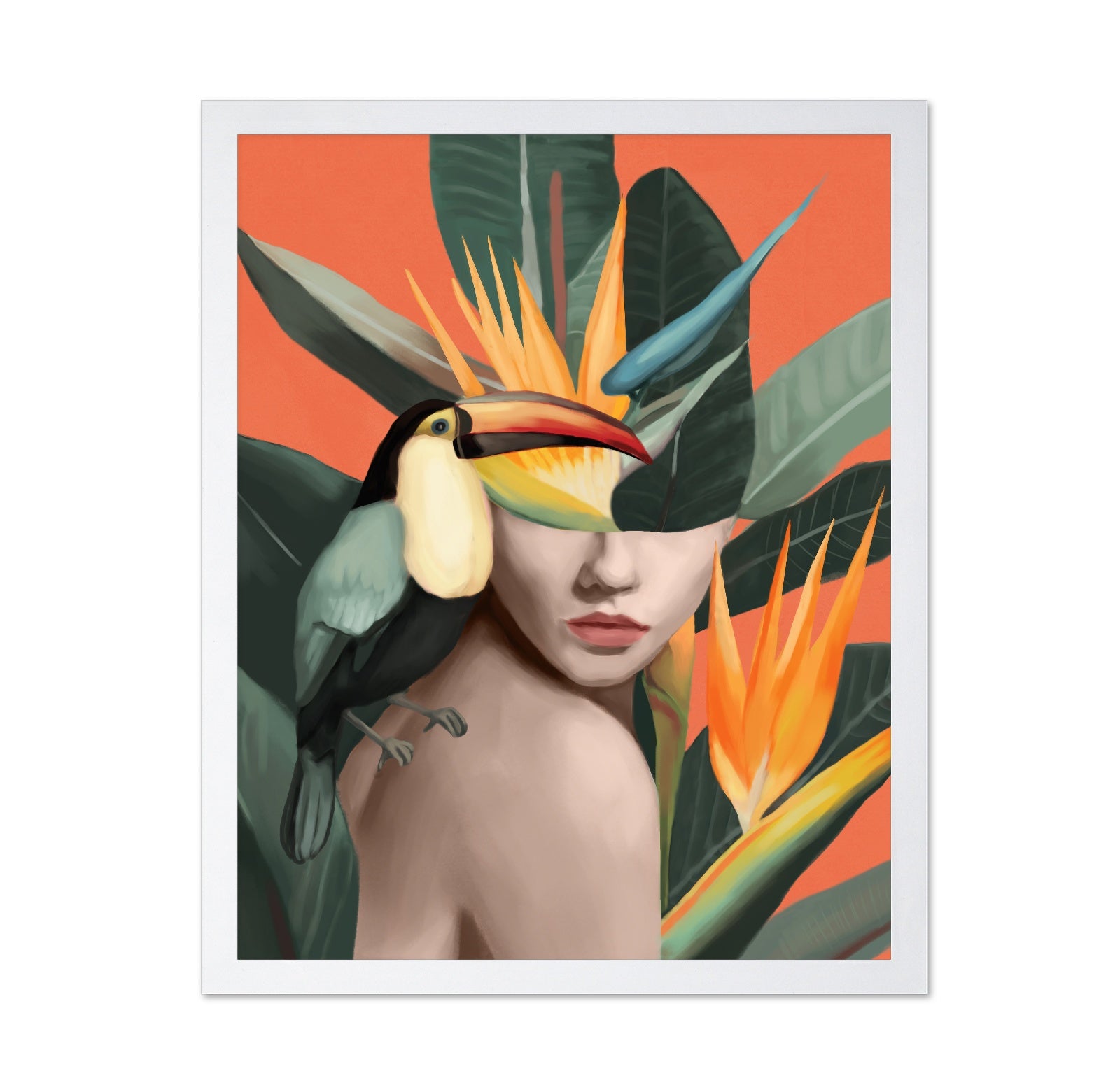 Tropical Toucan Muse