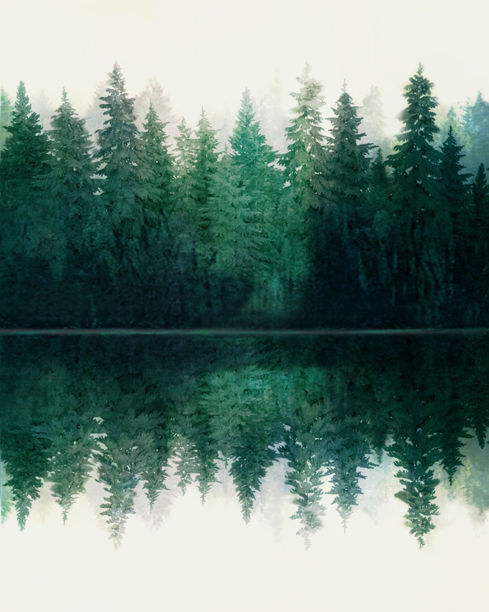 Forest Reflection Calm No1