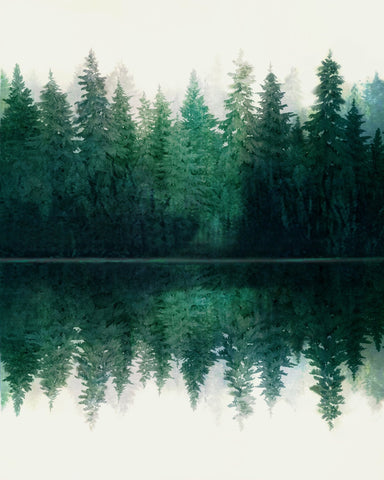 Forest Reflection Calm No1