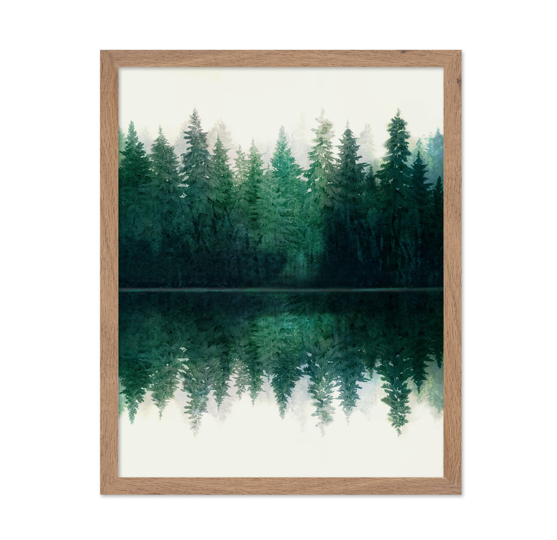 Forest Reflection Calm No1
