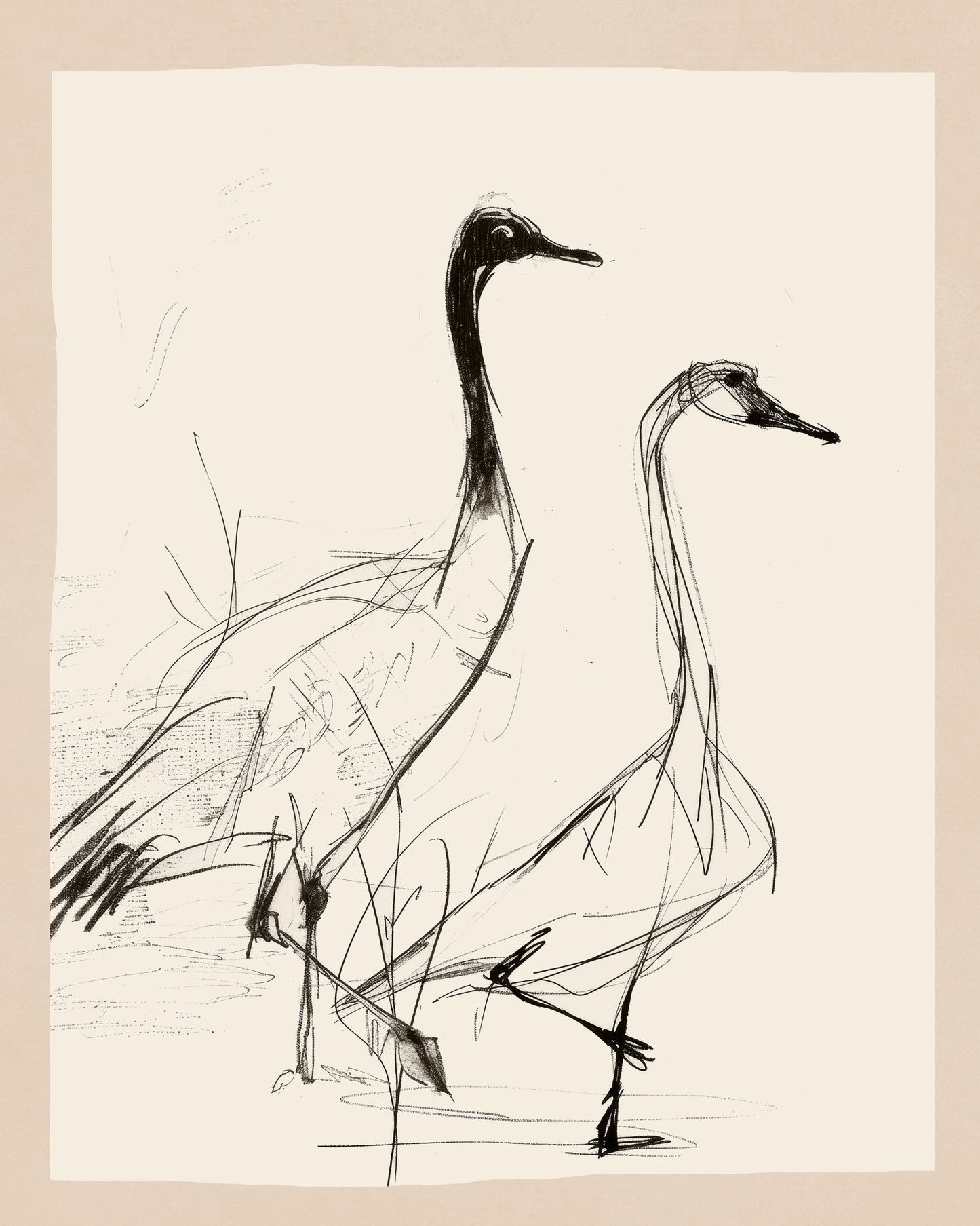 Graceful Crane Sketch