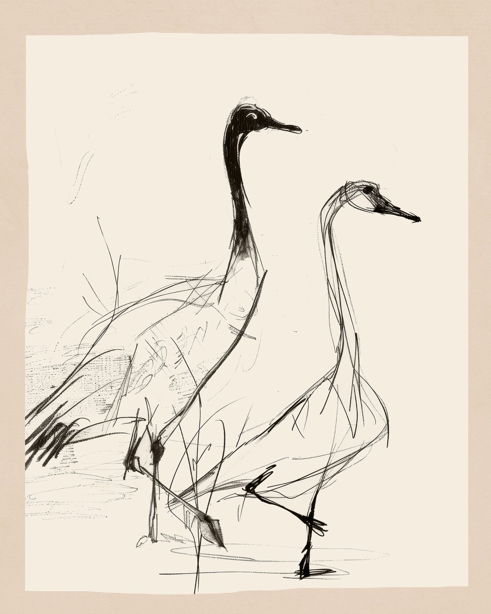 Graceful Crane Sketch