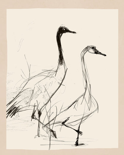 Graceful Crane Sketch