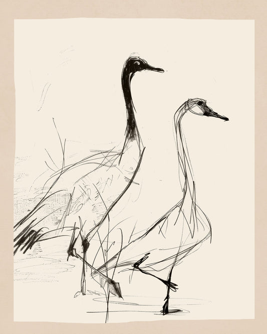 Graceful Crane Sketch