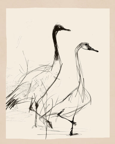 Graceful Crane Sketch
