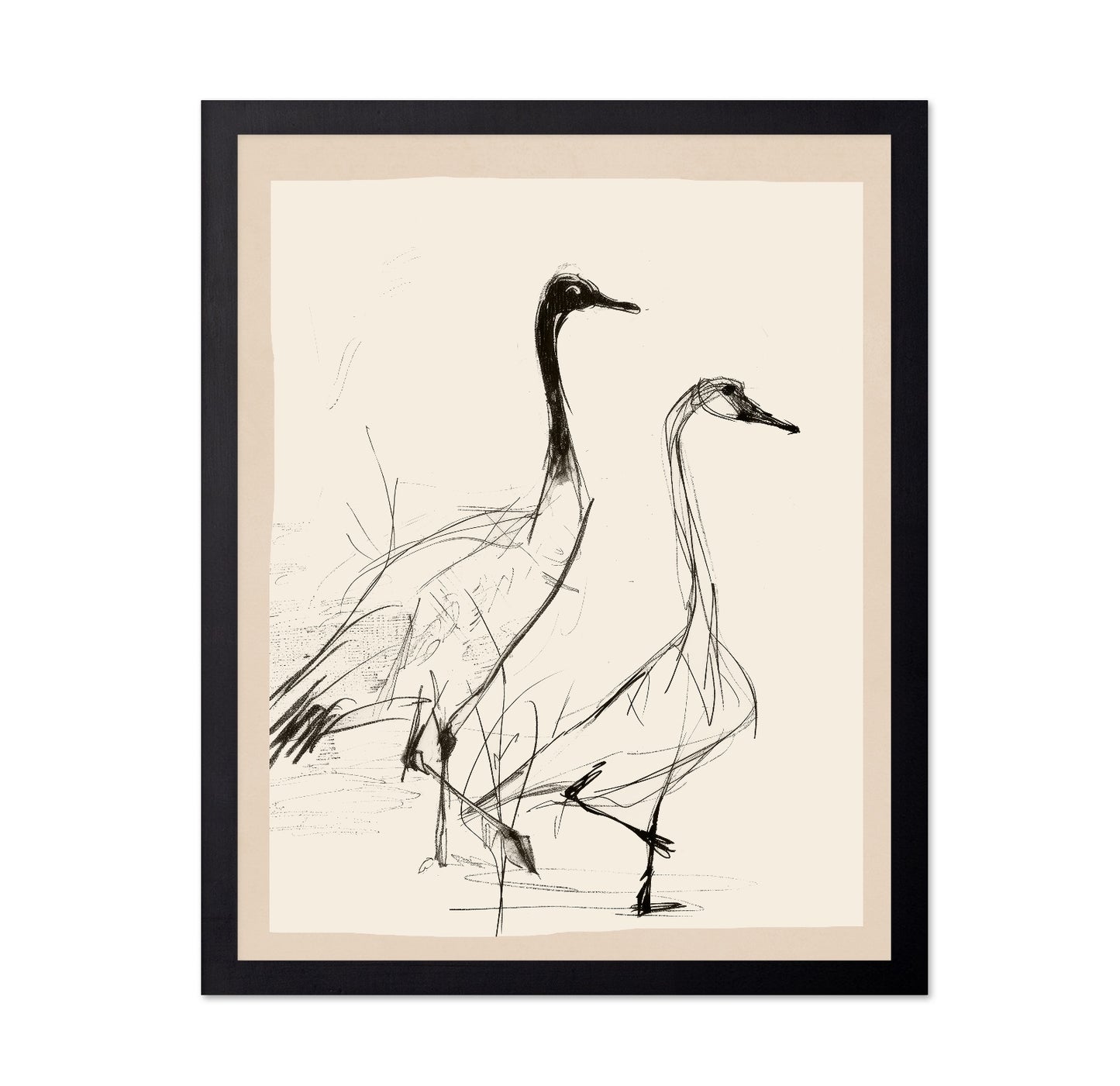Graceful Crane Sketch