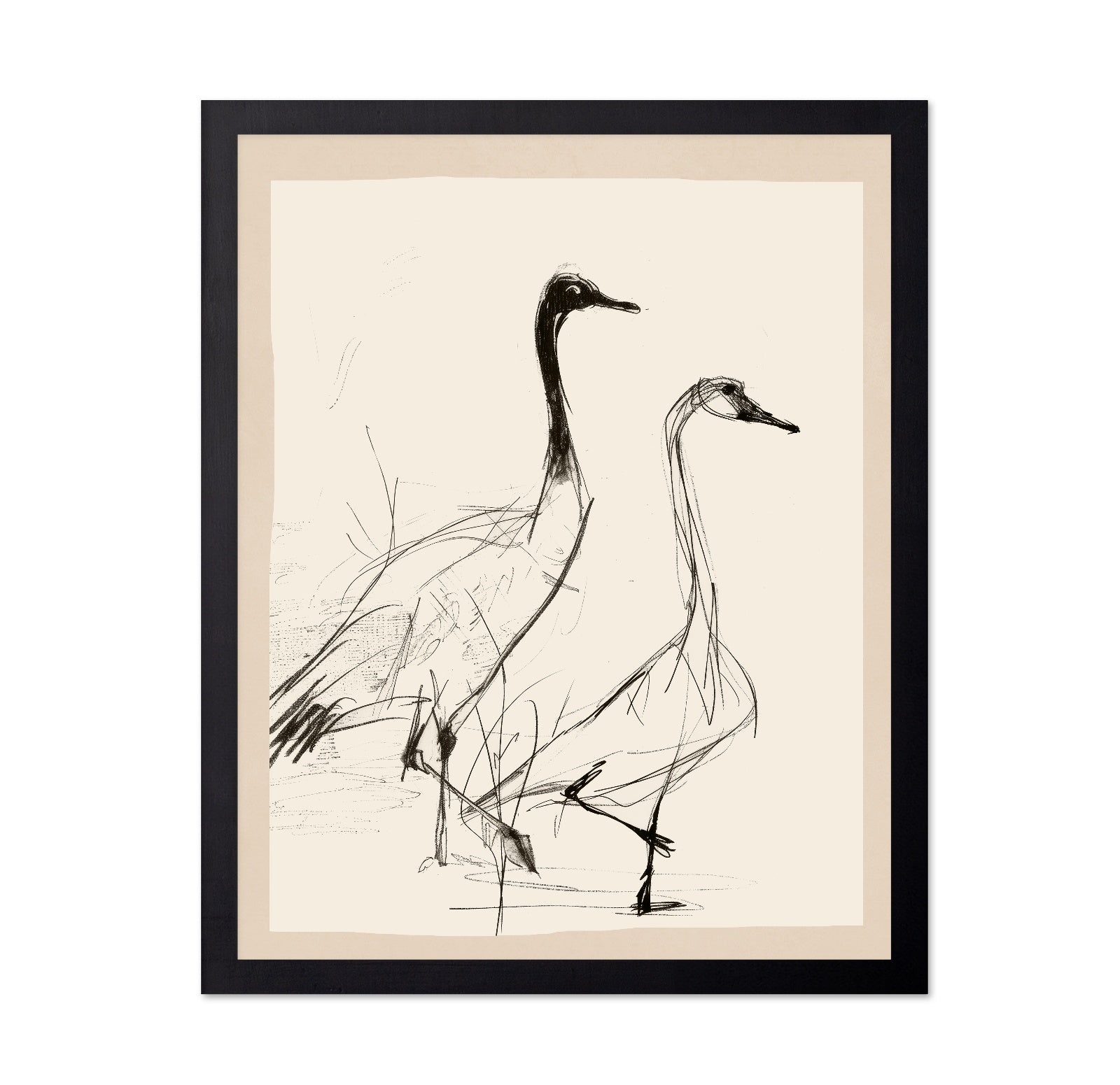 Graceful Crane Sketch