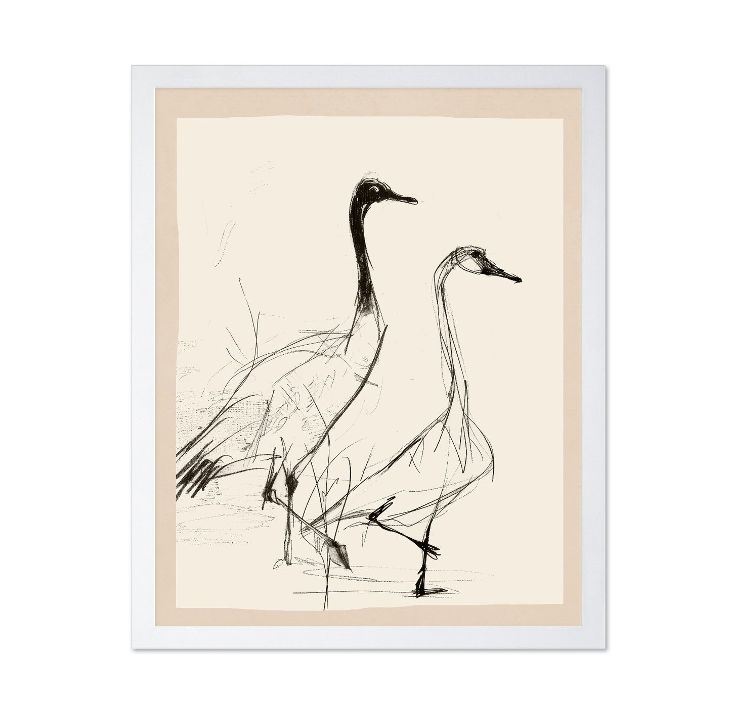 Graceful Crane Sketch