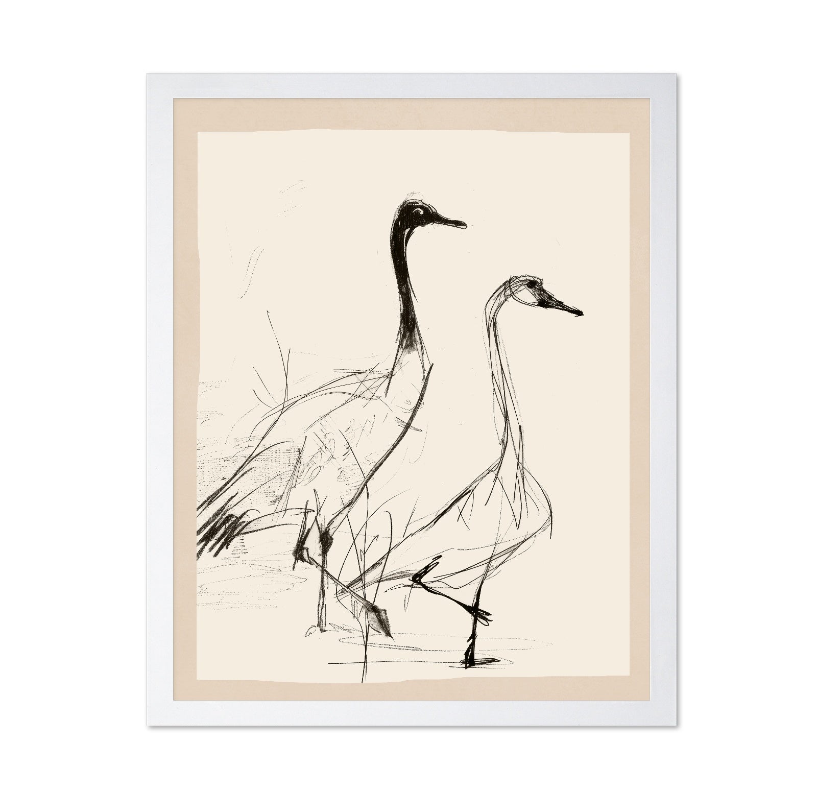 Graceful Crane Sketch