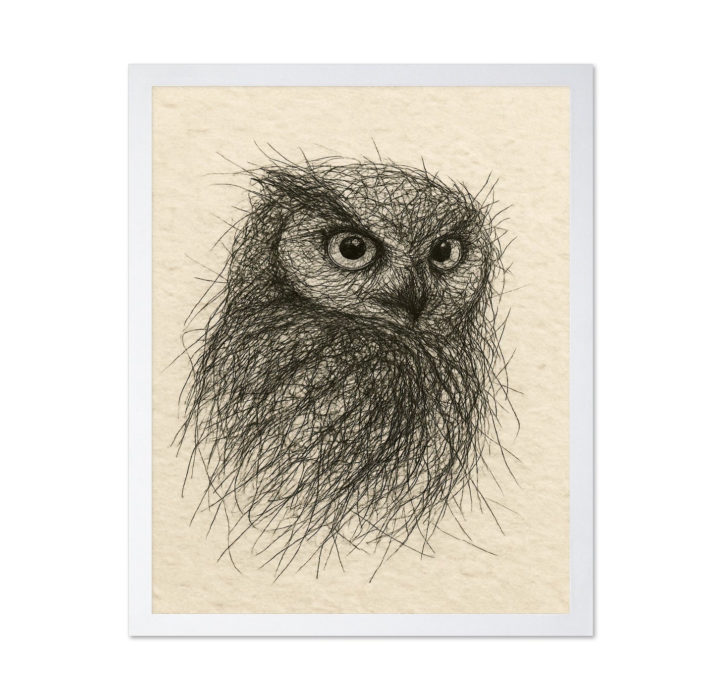 Little Owl Sketch