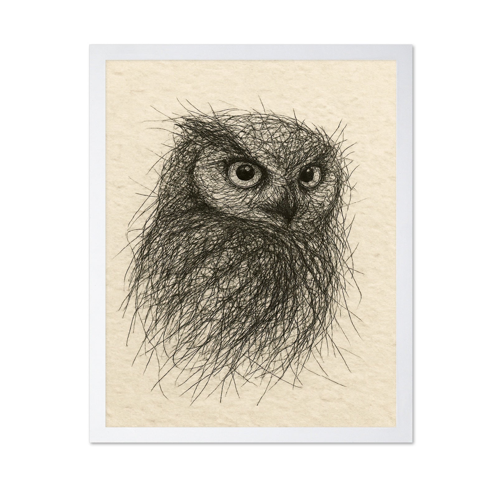 Little Owl Sketch
