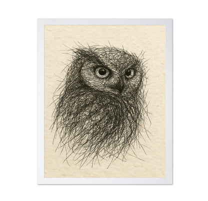 Little Owl Sketch