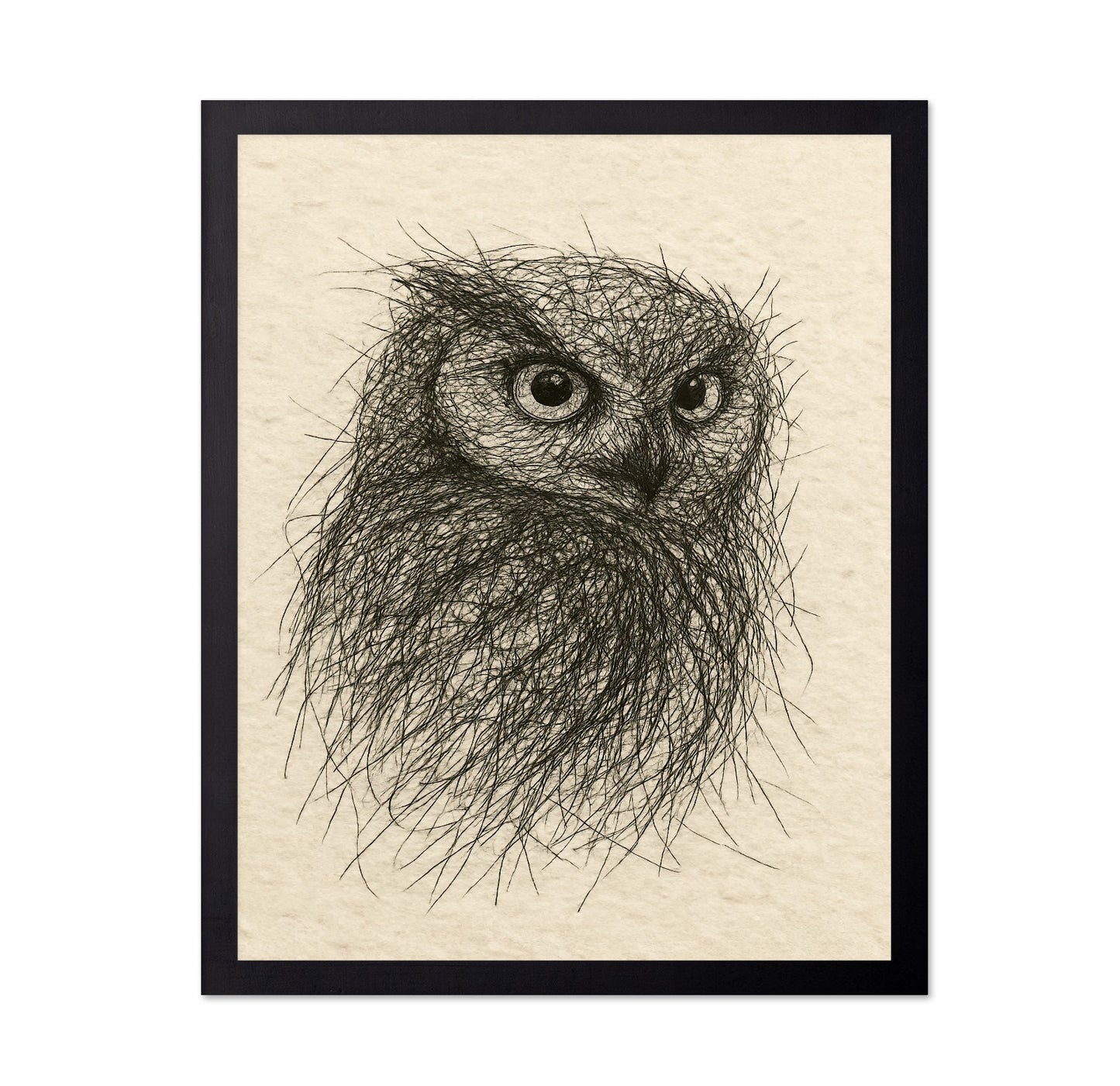 Little Owl Sketch