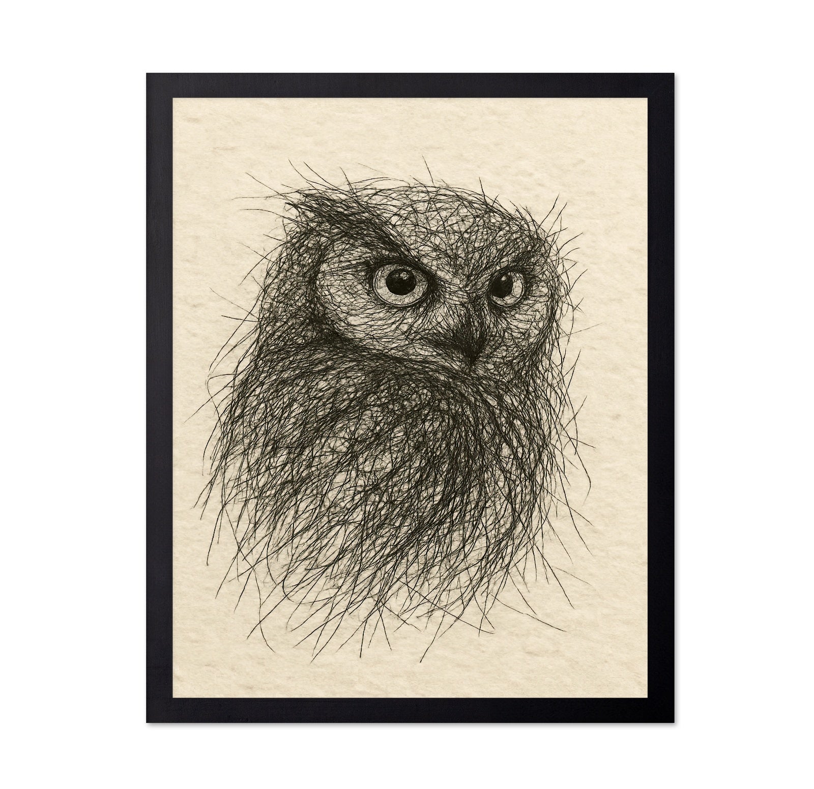 Little Owl Sketch