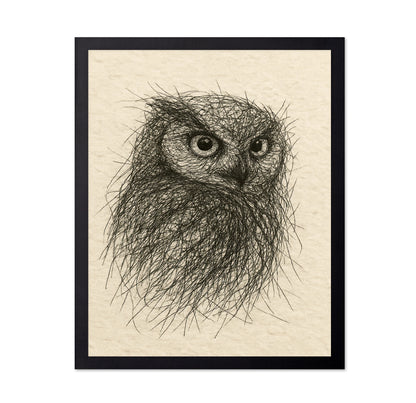 Little Owl Sketch