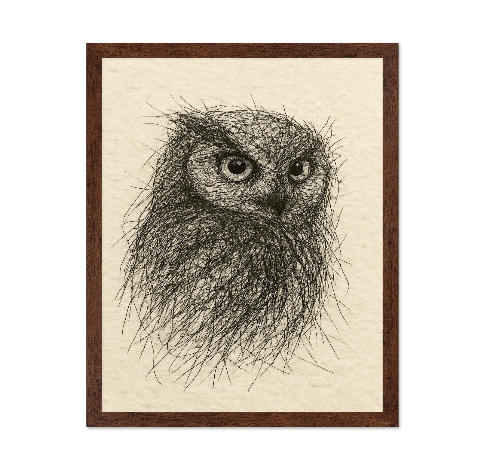 Little Owl Sketch