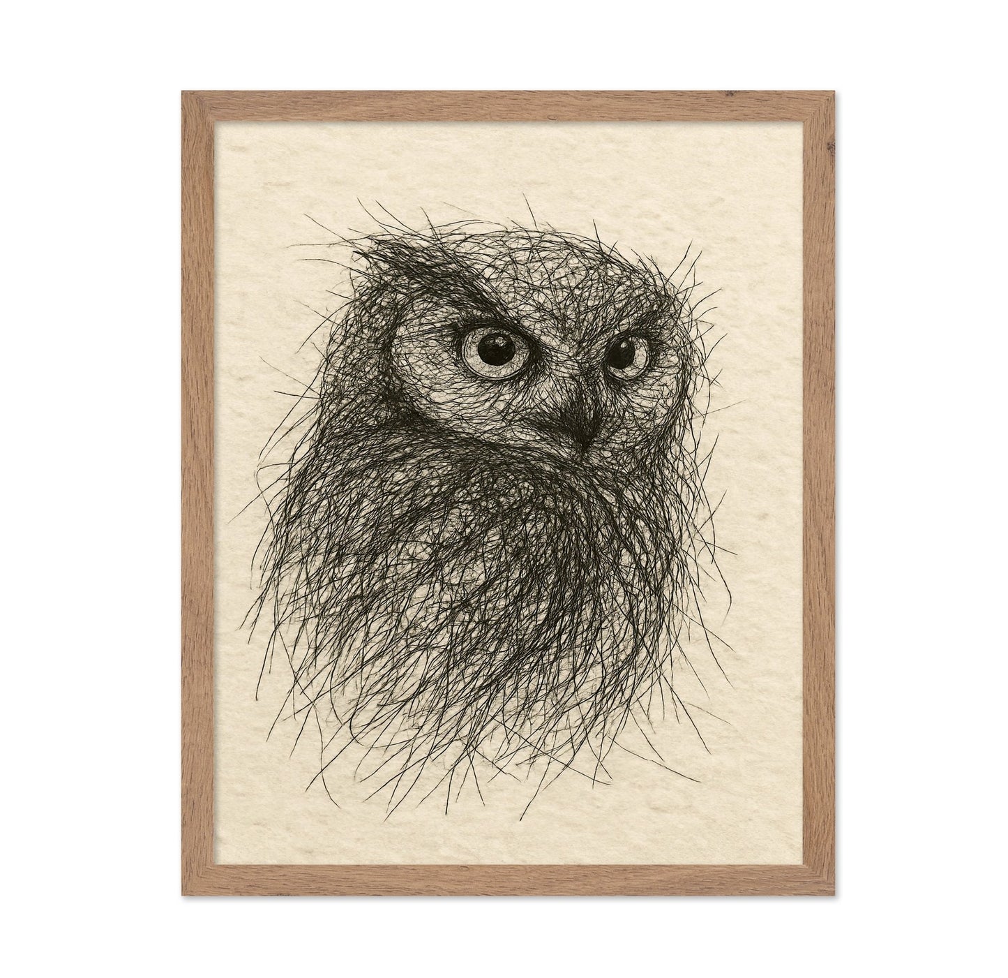 Little Owl Sketch