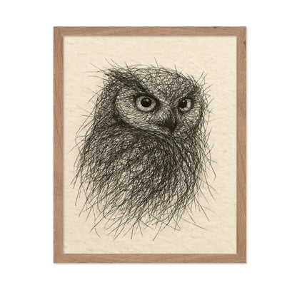 Little Owl Sketch
