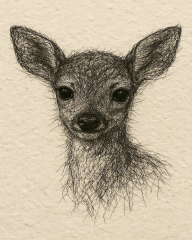Baby Deer Portrait No2