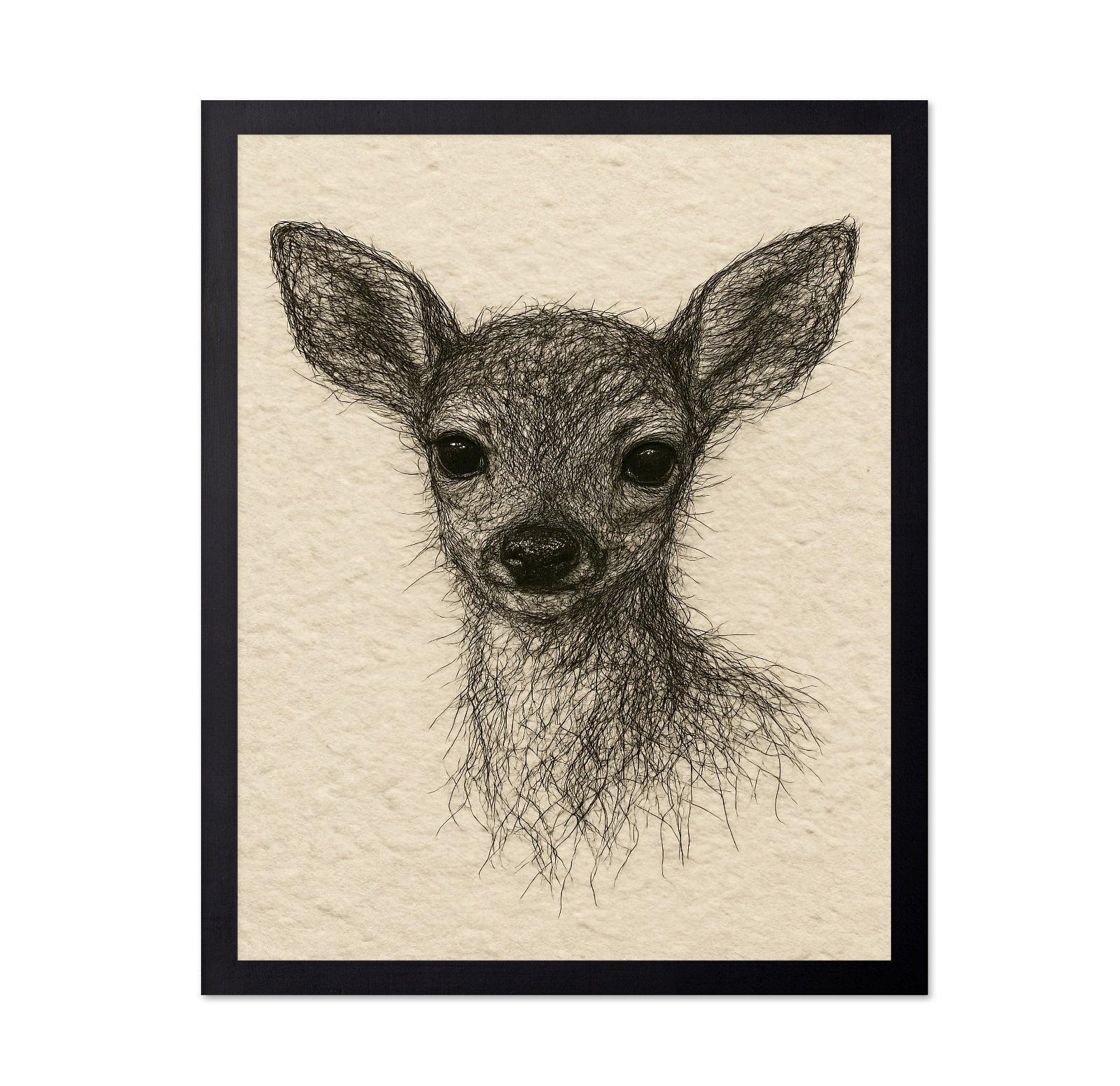 Baby Deer Portrait No2