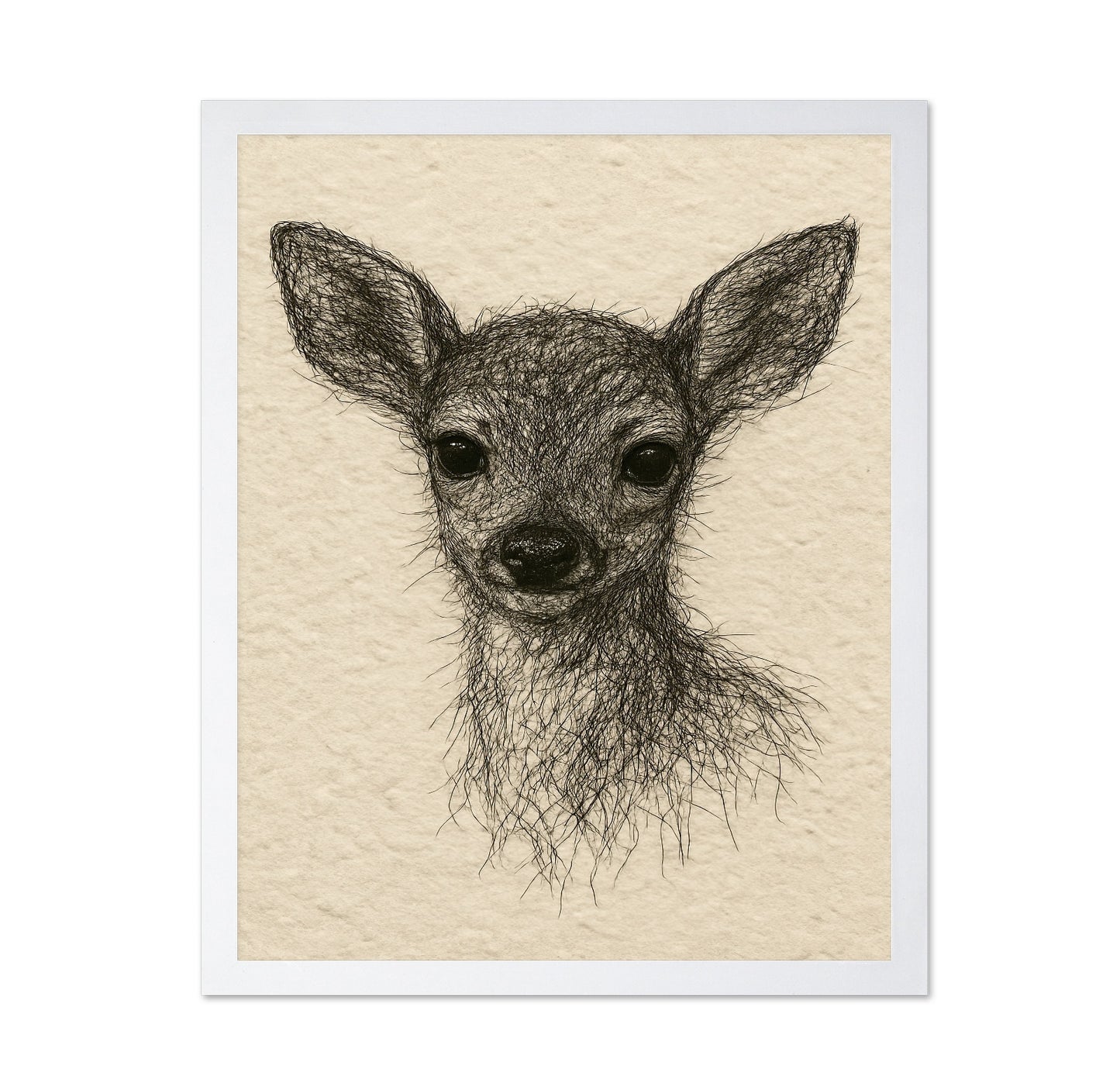 Baby Deer Portrait No2