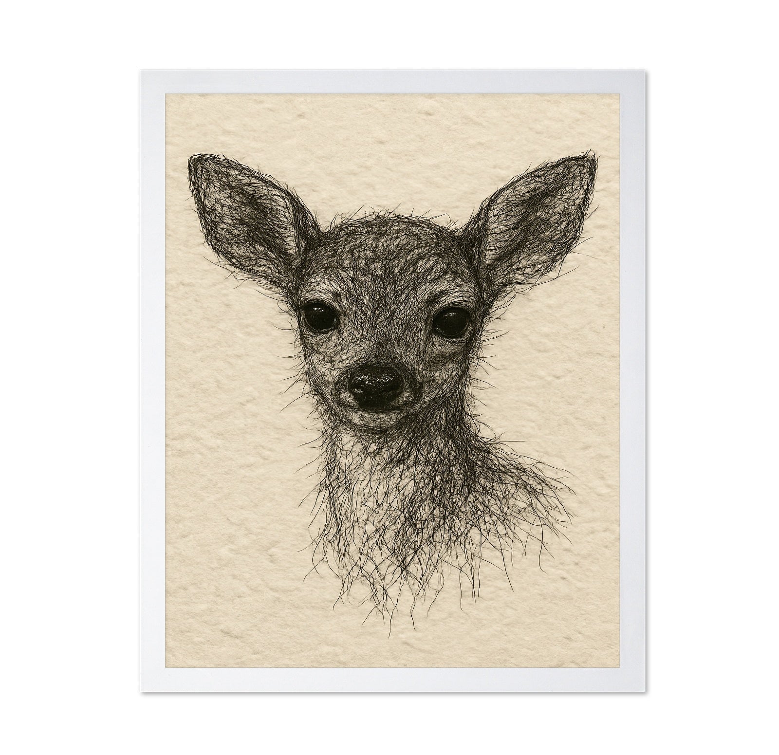 Baby Deer Portrait No2