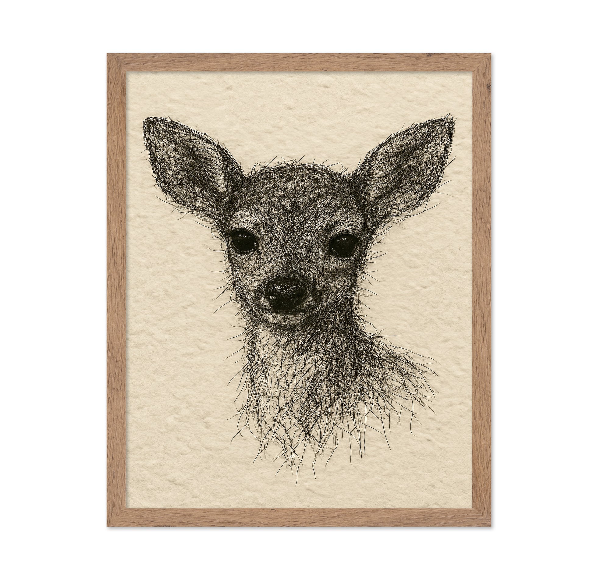Baby Deer Portrait No2